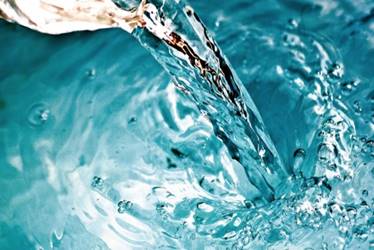 A picture containing water sport, swimming

Description automatically generated